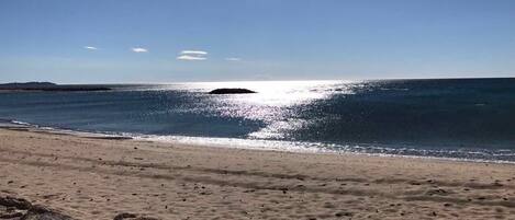 在海灘附近、躺椅