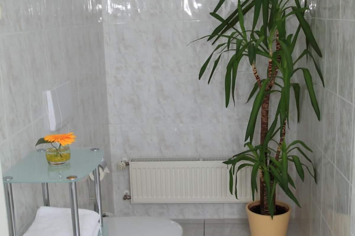 shower, free toiletries, hair dryer, towels