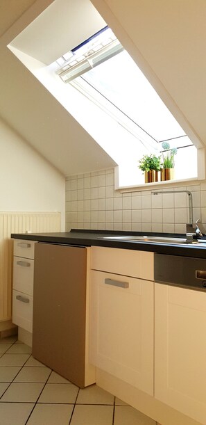 Departamento | Cocina privada | Refrigerador con congelador, horno, parrilla de estufa y lavavajillas 