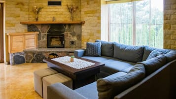 Una televisión, una chimenea
