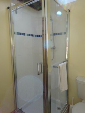 Shower, rainfall showerhead, towels - The Old Farmhouse (Milton Keynes)