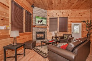 Televisie, een open haard, videospelletjes en een dvd-speler