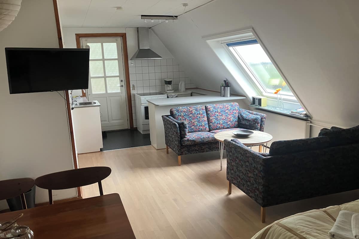 A compact living space with a kitchenette, a sofa, a dining table, and a TV.