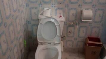Regadera, toallas, papel de baño