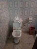 Shower, towels, toilet paper