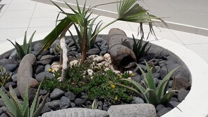 A circular planter with various plants and rocks, a large turtle sculpture, and a circular cut-out in the wall. - B&B Sereia Azul (Boa Vista)