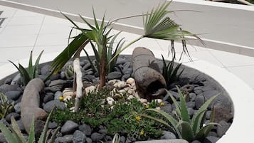 庭園
