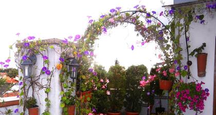 Villa Lucia Apartments & Rooms