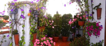 Villa Lucia Apartments & Rooms