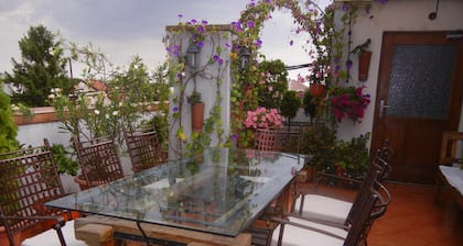 Villa Lucia Apartments & Rooms