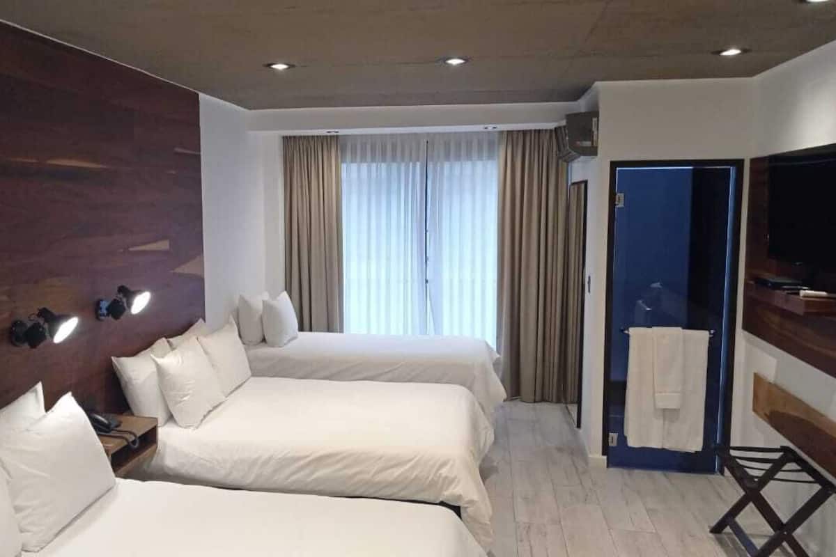 Premium Triple Room | 1 bedroom, premium bedding, down comforters, pillowtop beds