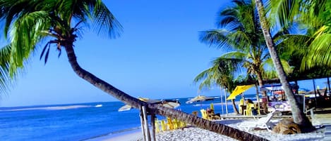 Una playa cerca, bar en la playa