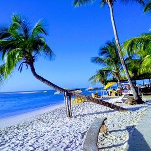 A beach with palm trees, a sandy shore, and a clear blue sky. - Recanto Solar da Paz (Cairu)
