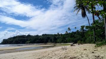 Una playa cerca, bar en la playa