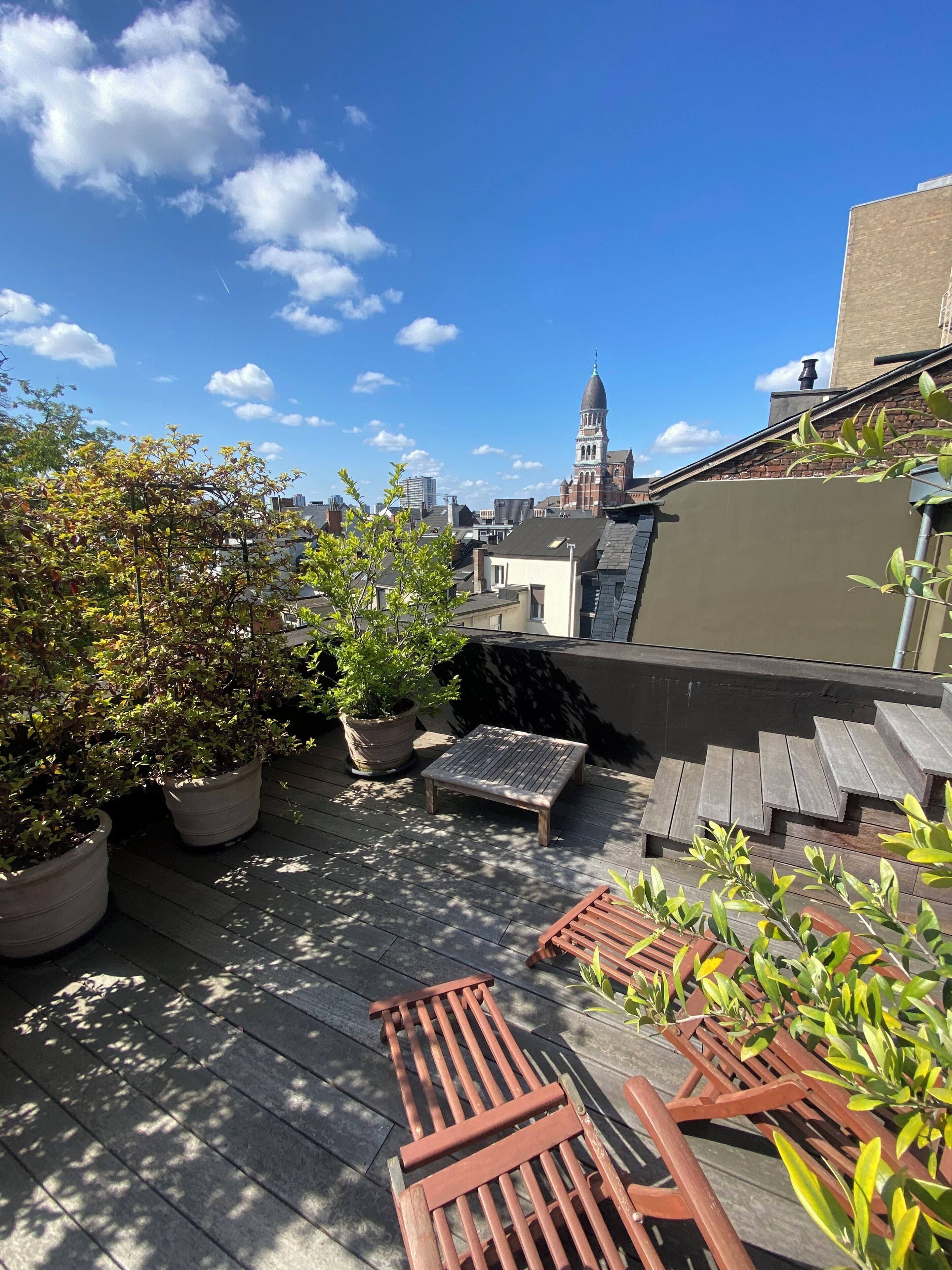 Une terrasse sur le toit agrémentée de plantes en pot, de bancs en bois et offrant une vue sur le paysage urbain, notamment une tour imposante.
