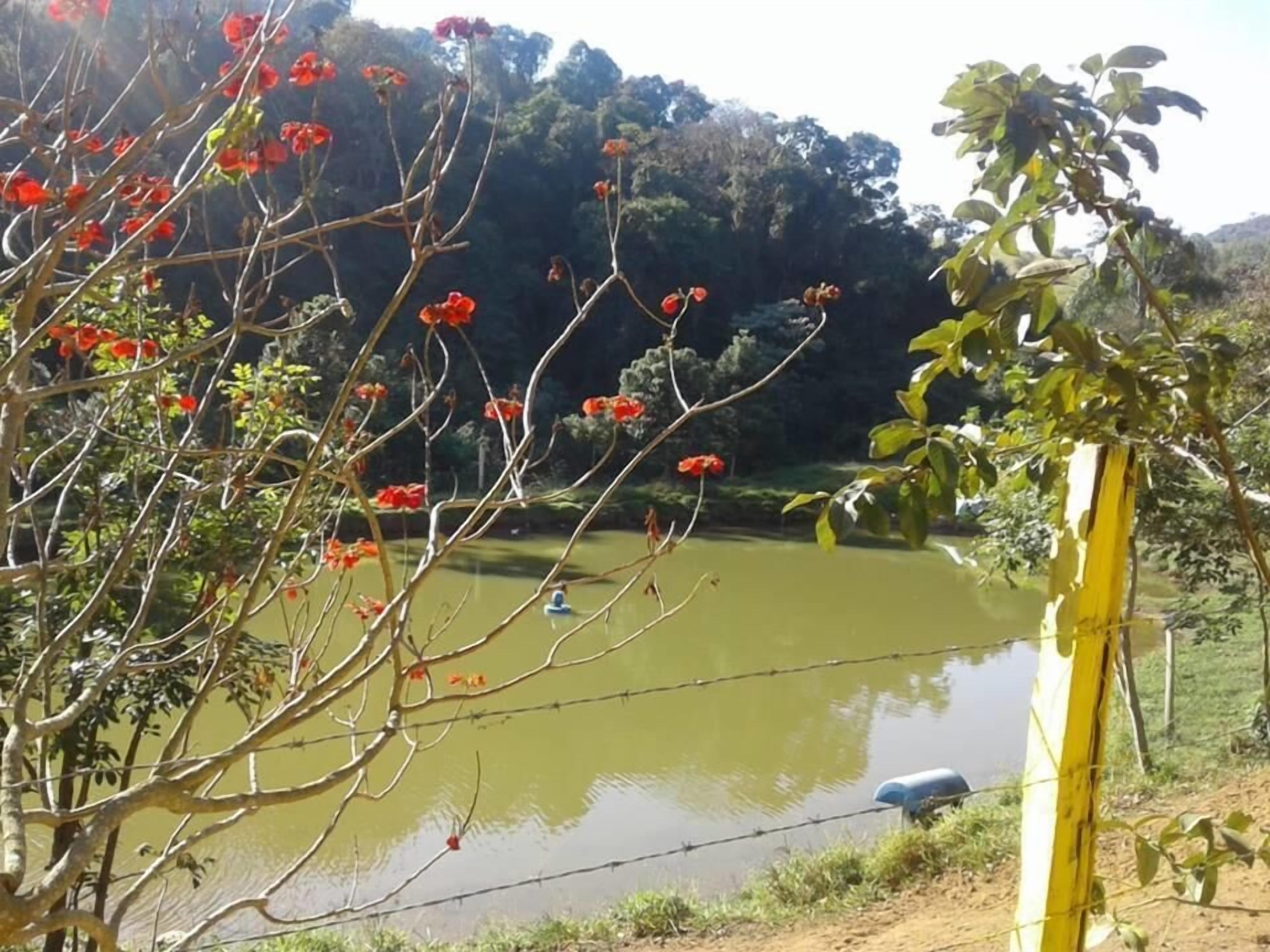 A tranquil outdoor setting with a body of water, trees, and a barbed wire fence.
