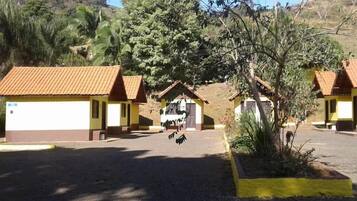 المنطقة المحيطة بالمنشأة