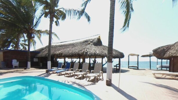 A pool area with lounge chairs and thatched umbrellas, surrounded by palm trees.