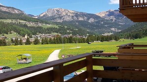 Vista panorámica desde un balcón de madera que da a un campo verde con un camino, un coche aparcado y un carruaje tirado por caballos.