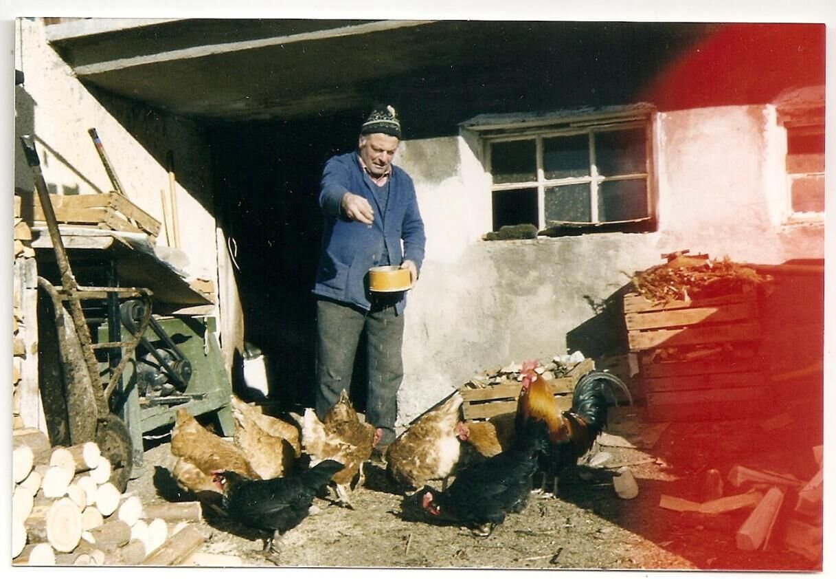 A man feeding chickens in a rustic outdoor setting with wooden structures and a window.