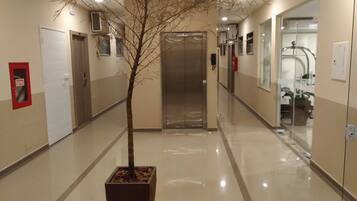 Un pasillo con un árbol, un extintor y un ascensor.