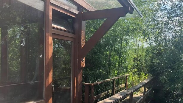 A wooden deck with a glass enclosure, surrounded by dense greenery. - Gästehaus Denninger (Karlsbad)