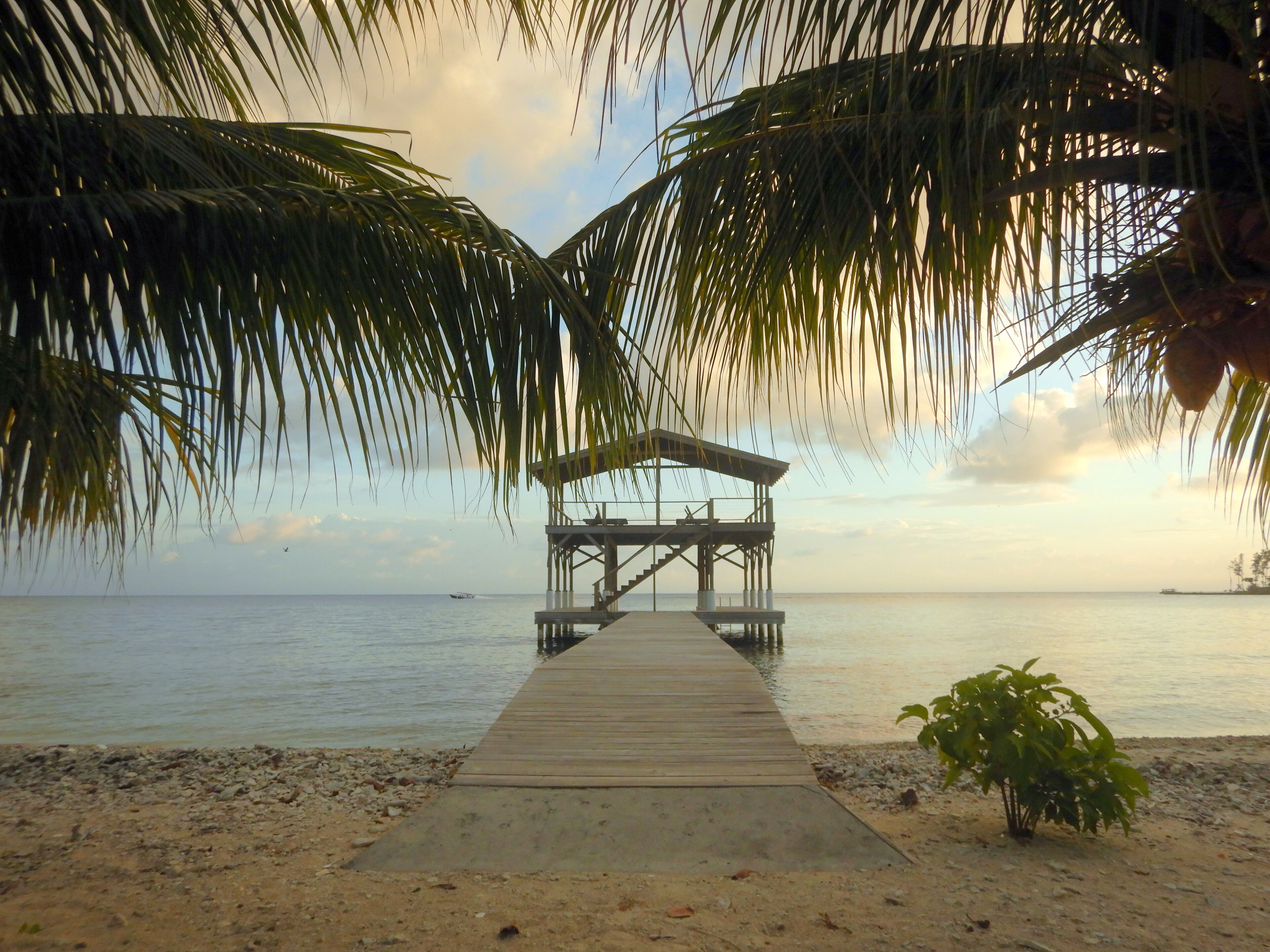 A wooden pier leading to a covered structure, surrounded by palm trees and a calm sea.
