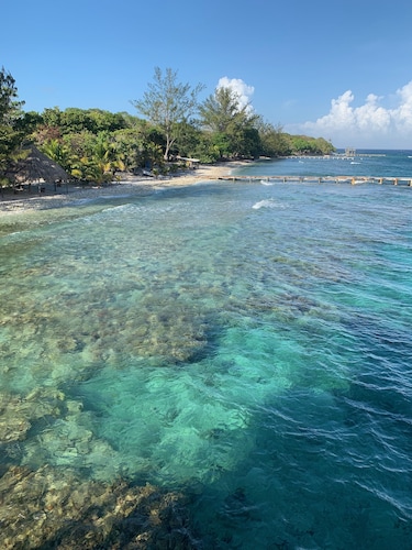 Coconut House on Treasure Beach