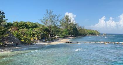 Coconut House on Treasure Beach
