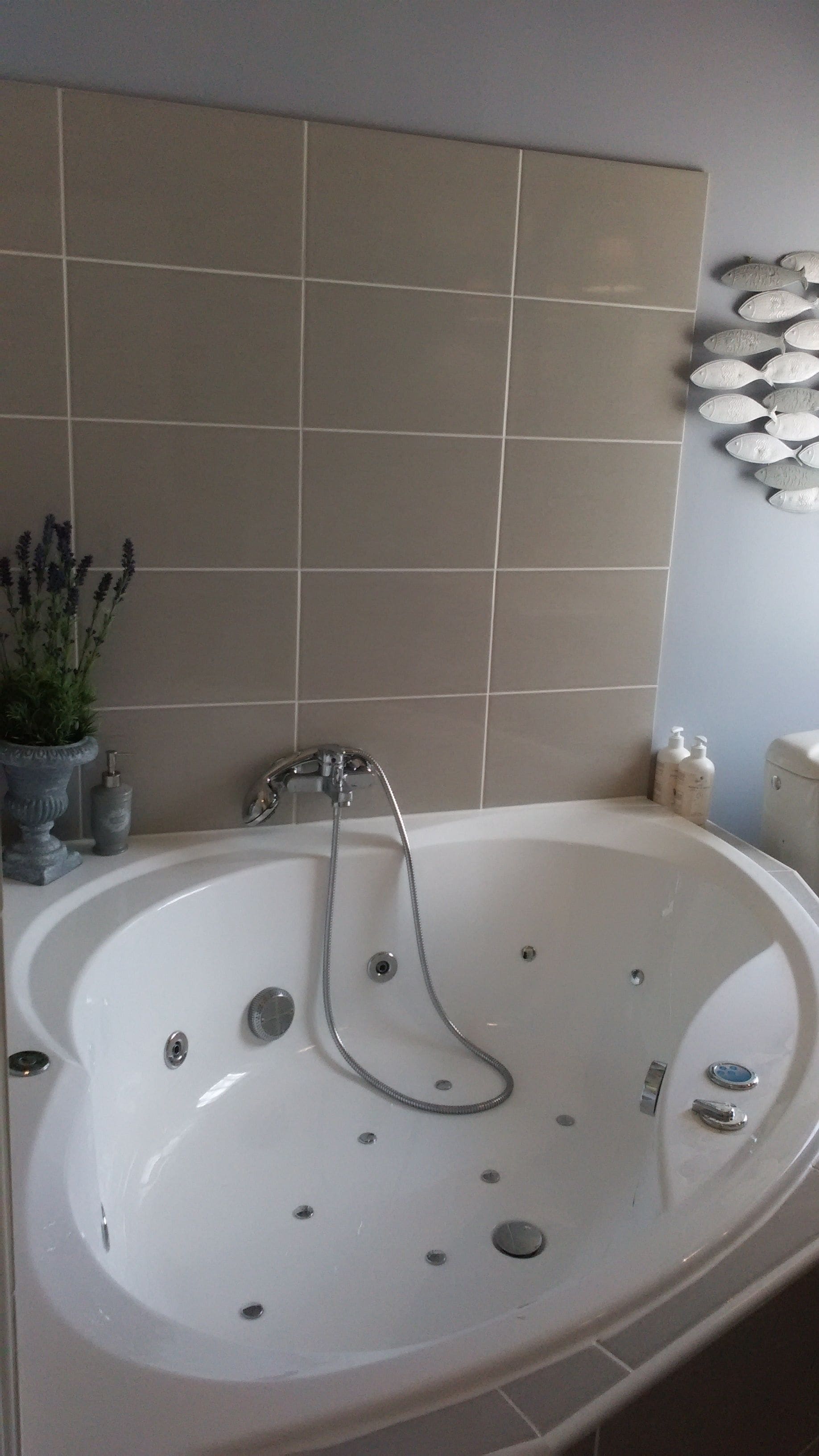 A bathroom with a large bathtub, a showerhead, and a potted plant.