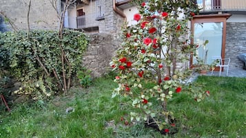 Jardín