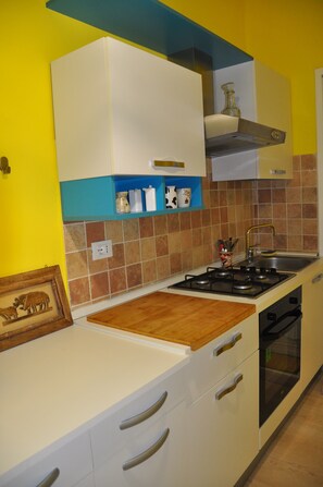 Fridge, oven, stovetop, electric kettle
