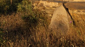 A sign with the text 'alento Belvedere' in a natural landscape with dry grass and rocks.
