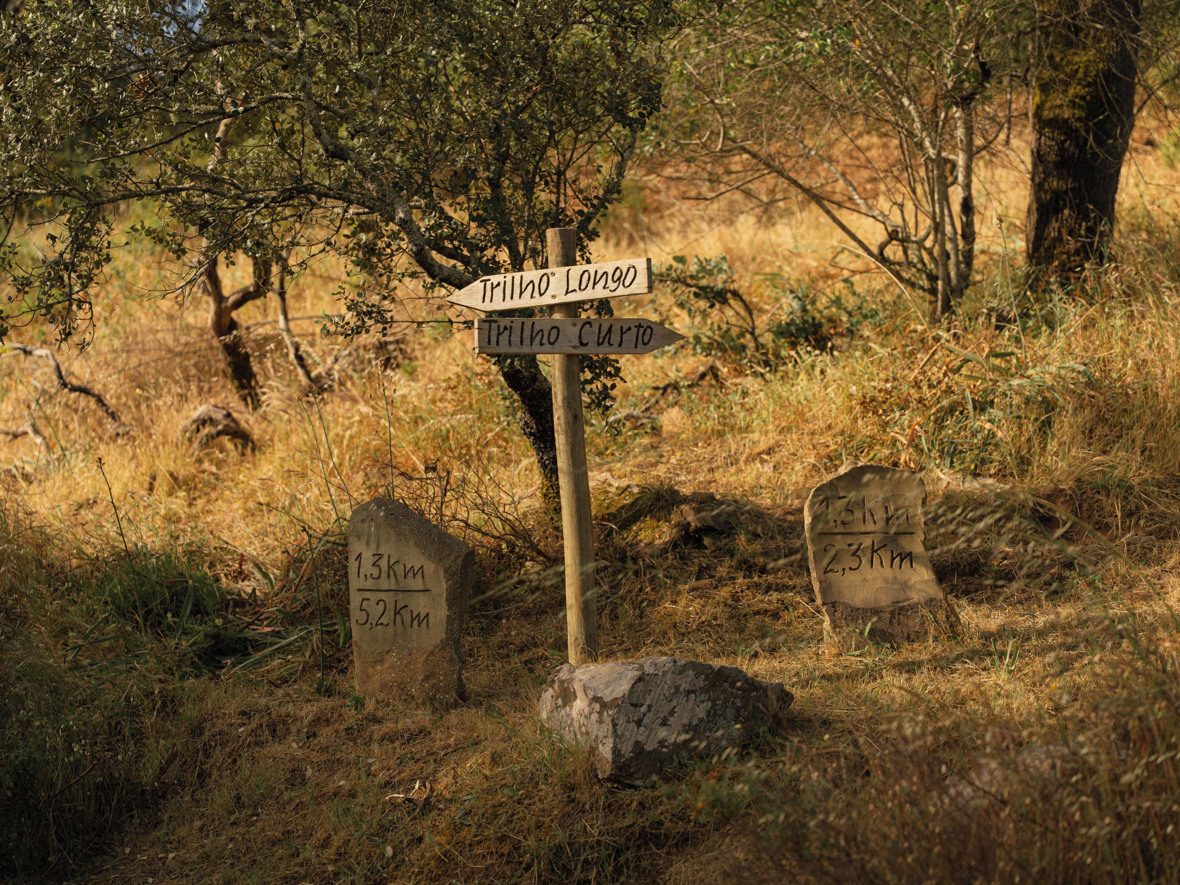 A wooden signpost with directional arrows and distance markers in a natural setting.