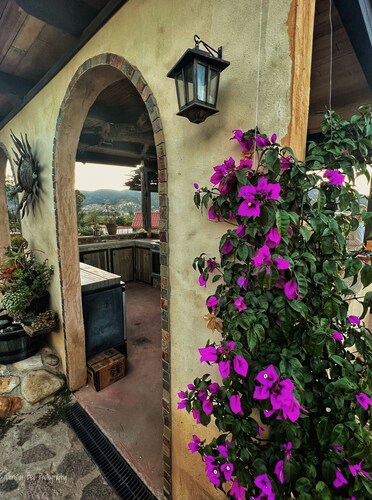 Beautiful, impeccable and safe home in the heart of Valle de Guadalupe.