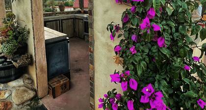 Beautiful, impeccable and safe home in the heart of Valle de Guadalupe.