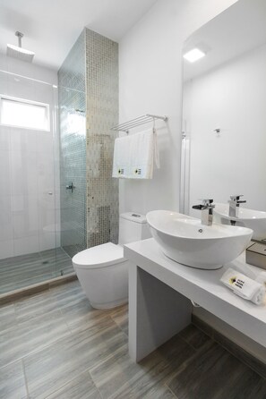 Shower, rainfall showerhead, free toiletries, hair dryer - Luma Plaza Hotel (Pereira)