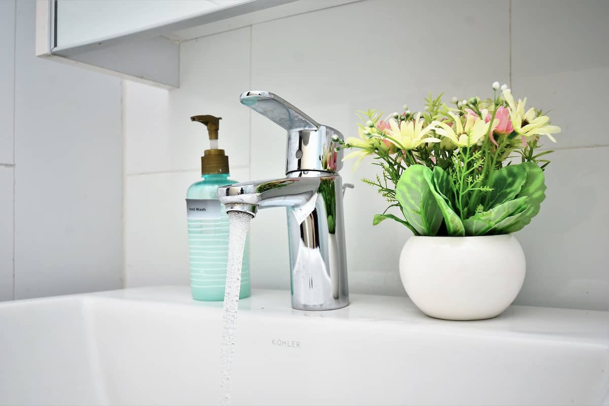 A bathroom sink with a chrome faucet, a soap dispenser, and a potted plant with flowers.