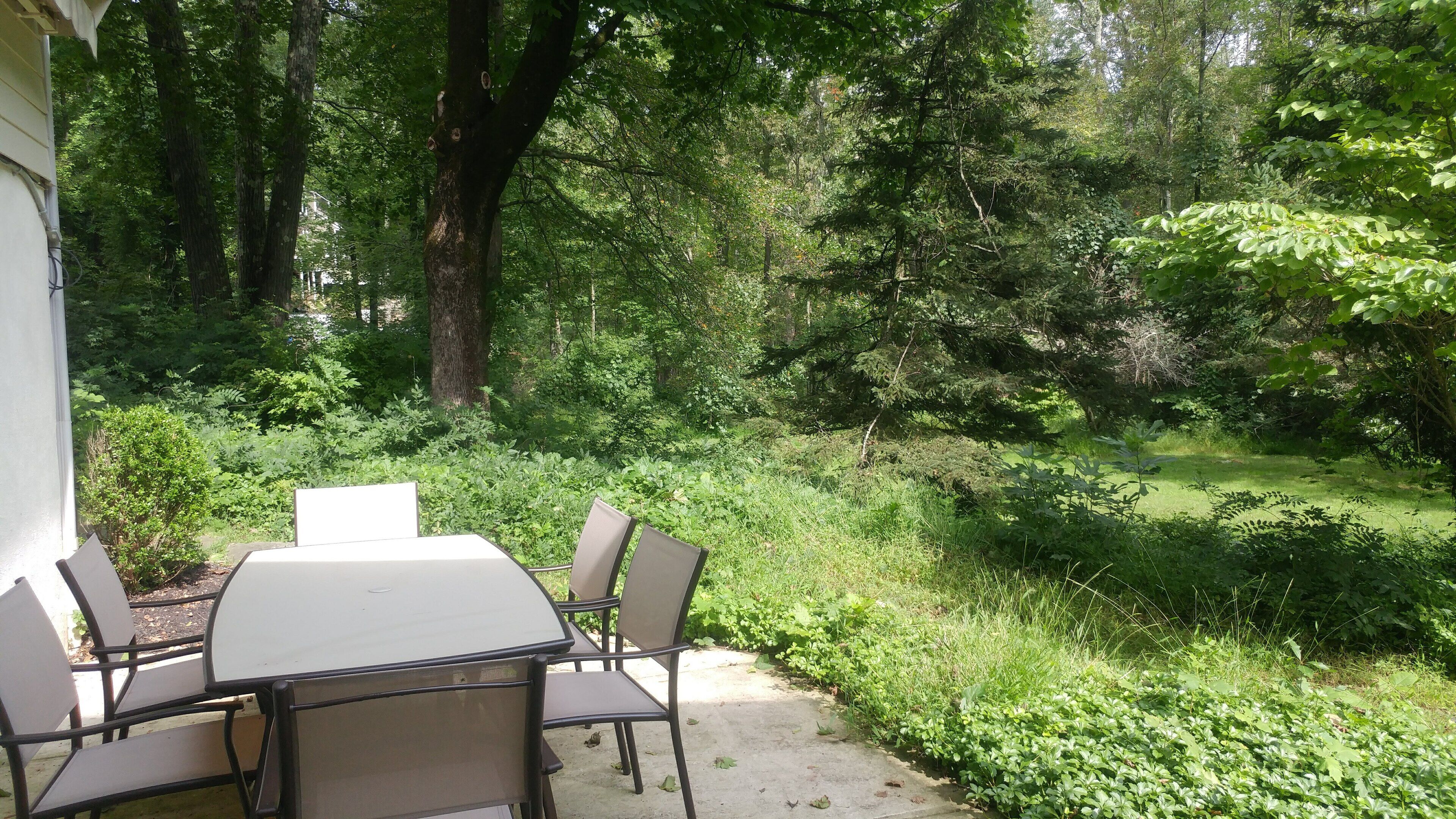 Garden Studio with Private Full Bath & Sauna. Self check-in.