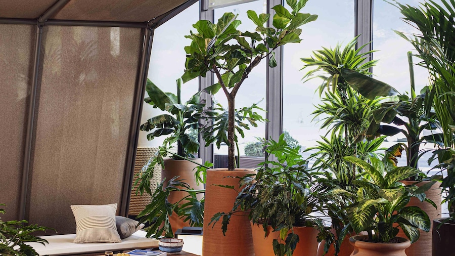 Novotel Paris Porte De Versailles