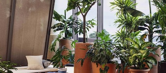 Novotel Paris Porte De Versailles