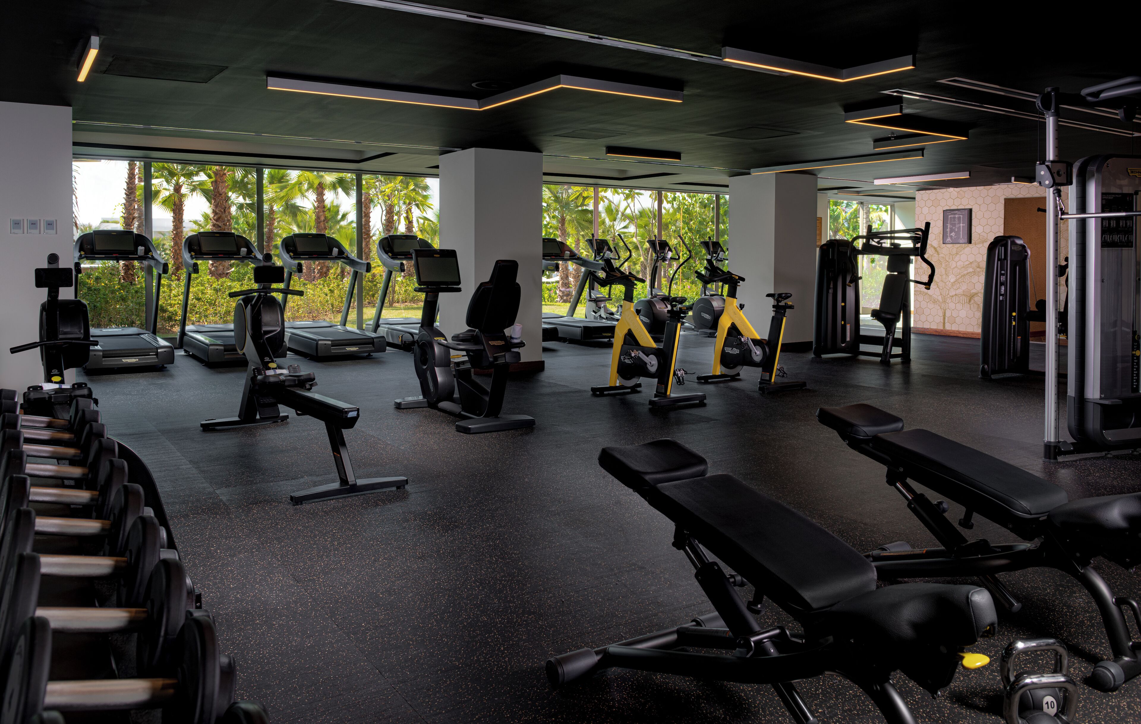 A gym with treadmills, elliptical machines, and weight benches.