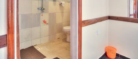 Une salle de bain avec une douche, des toilettes et un coin avec un plintheur en bois.
