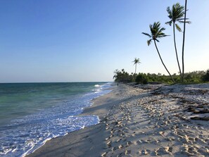 Playa en los alrededores, camastros y toallas de playa 