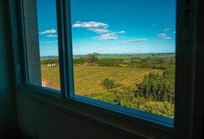 Vista desde la habitación
