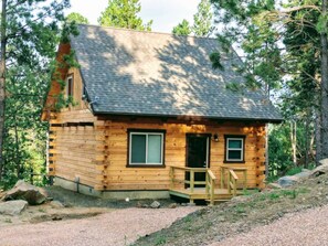 Pronghorn Point Family Cabin | Individually furnished, free WiFi, bed sheets - Freedom Ridge Cabins (Hill City)