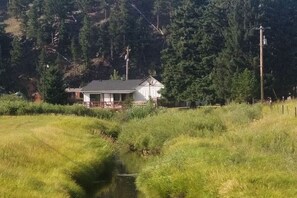 A house with a porch, surrounded by greenery and a small stream.