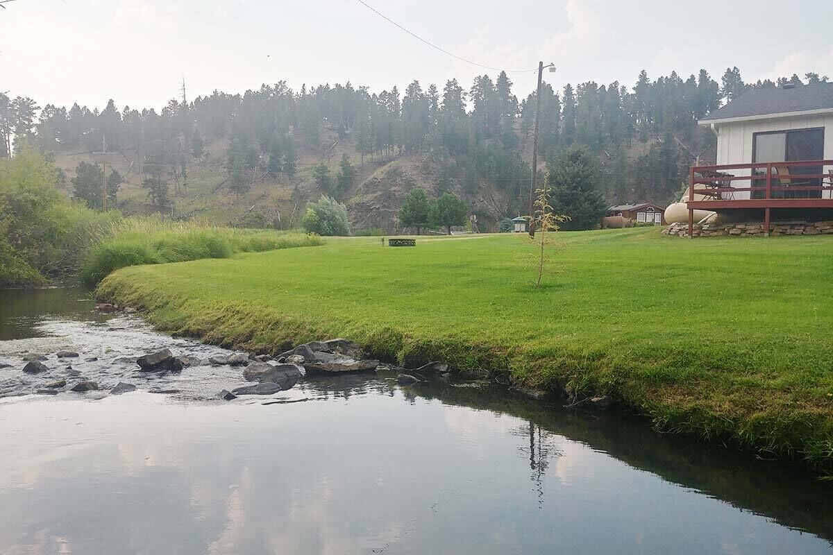 A grassy area with a small pond, a wooden deck, and a building with a large window.