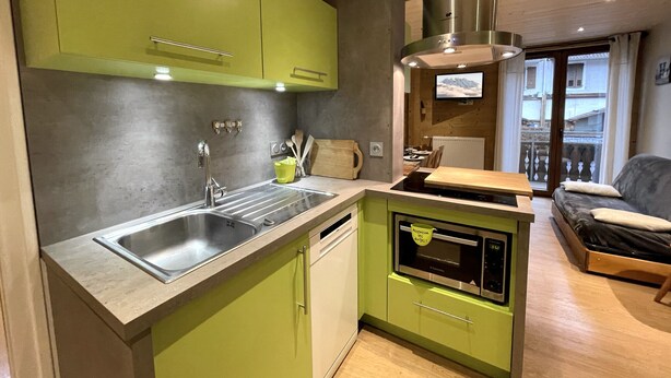 A compact kitchen with green cabinets, a stainless steel sink, and a built-in oven. - GENTIANES 3 – Apartment in the village center and close to ski slopes – Wi-Fi (La Clusaz)