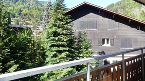 Un bâtiment en bois, doté d’un toit en pente, entouré d’une forêt dense et de collines.
